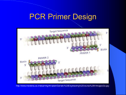 PCR Primer Design - Marinebiotech.net