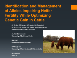 Genetic Defects in Beef Cattle