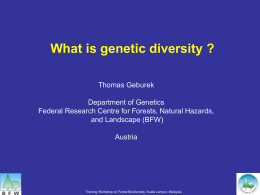 What is genetic variation?
