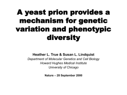 A yeast prion provides a mechanism for genetic variation