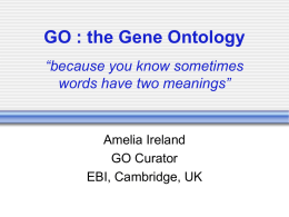 GO : the Gene Ontology