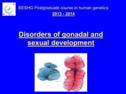 Abnormalities of the sex chromosomes and sex differentiation