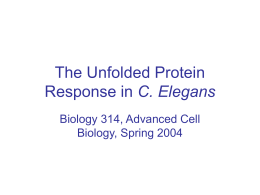 The Unfolded Protein Response in C. Elegans