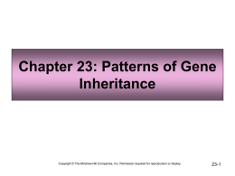 Chapter 23: Patterns of Gene Inheritance