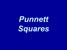 Punnett Squares - Rutherford County Schools