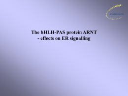 The bHLH-PAS protein ARNT - an activator of ER activity