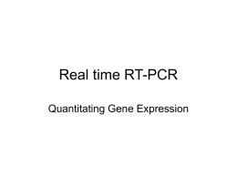 Real time RT-PCR