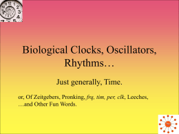 Biological Clocks, Oscillators, Rhythms…