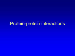 Protein-protein interactions - Brigham Young University