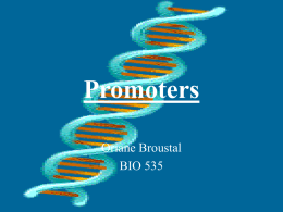 Structure of promoter - Western Connecticut State University