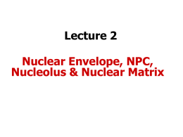 Lecture 2 Date: 11/17/03 - Department of Biological Sciences