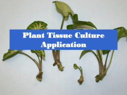 Lecture 2: Applications of Tissue Culture to Plant Improvement