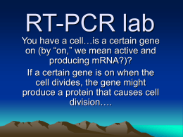 RT-PCR lab - University of Colorado Denver