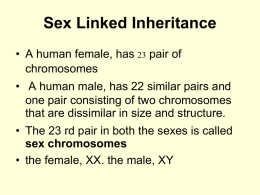 Sex Linked Inheritance