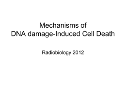 Mechanisms of Radiation