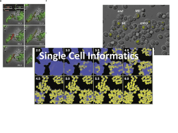 Single Cell Informatics - The George S. Wise Faculty of