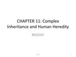 CHAPTER 11: Complex Inheritance and Human Heredity