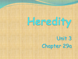 Heredity - Decatur Public Schools / Overview