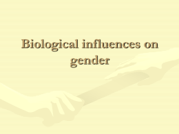 Biological influences on gender