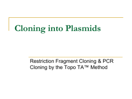 Cloning into Plasmids - Buffalo State College
