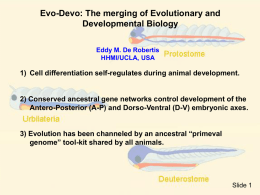 Evo-Devo: The merging of Evolutionary and Developmental