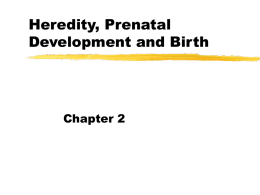 Heredity, Prenatal Development and Birth