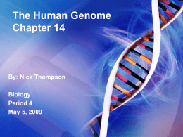 The Human Genome Chapter 14