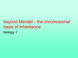 beyond Mendel - the molecular basis of inheritance