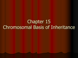 Ch 15: Chromosomal Basis of Inheritance