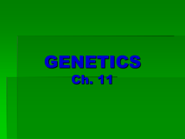 Genetics - Ms. Pass's Biology Web Page