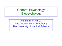 PSY 2012 General Psychology Chapter 2: Biopsychology