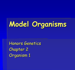 Model Organisms - Welcome to Cherokee High School