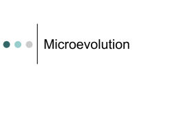 Microevolution - Building Directory