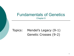 Fundamentals of Genetics Chapter 9