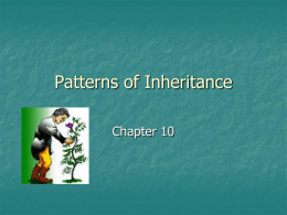 Patterns of Inheritance - Grosse Pointe Public School System