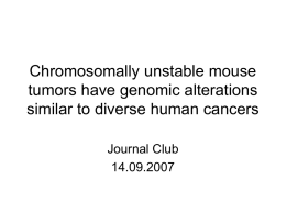 Chromosomally unstable mouse tumors have genomic