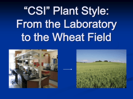 CSI” Plant Style: From Laboratory to your Lunch Tray