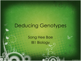 Deducing Genotypes - Life is a journey: Mr. T finding his way