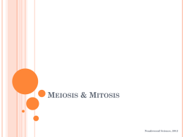 Meiosis & Mitosis