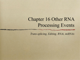 Chapter 16 Other RNA Processing Events