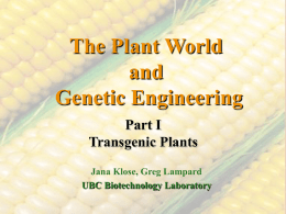 The Plant World and Genetic Engineering