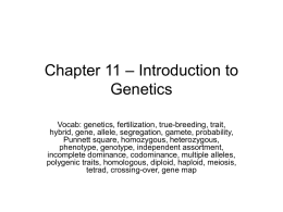 Chapter 11 – Introduction to Genetics
