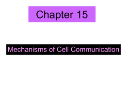 Mechanisms of cell communication