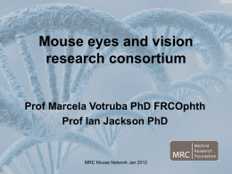 MRC Mouse Eyes&VisionJan2012