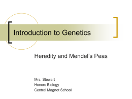 Mendel’s Peas - rcschools.net