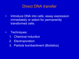 Direct DNA transfer - University of Texas at Austin