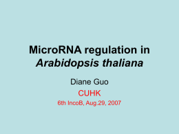 MicroRNA regulation in Arabidopsis thaliana