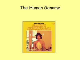 HUMAN GENETICS - Welcome to ms