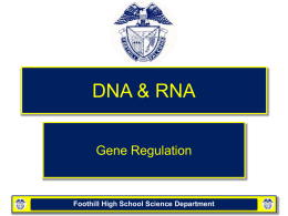 12-5 Gene Regulation - Web hosting, domain name