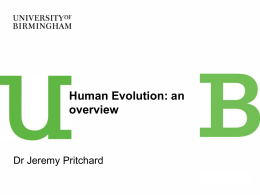 Human evolution lecture here (PPT 8.6Mb)